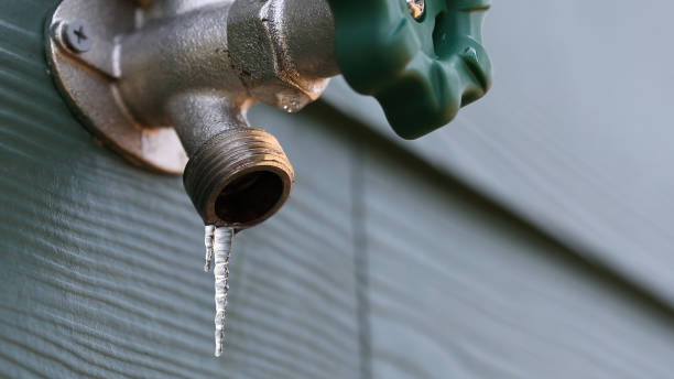 Best Affordable Plumbing Services  in Palatine, IL