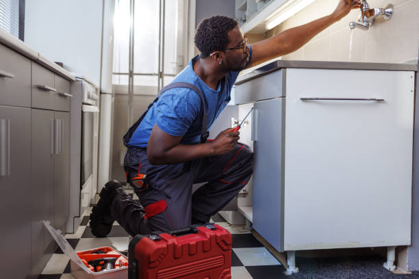 Best Same-Day Plumbing Service  in Palatine, IL
